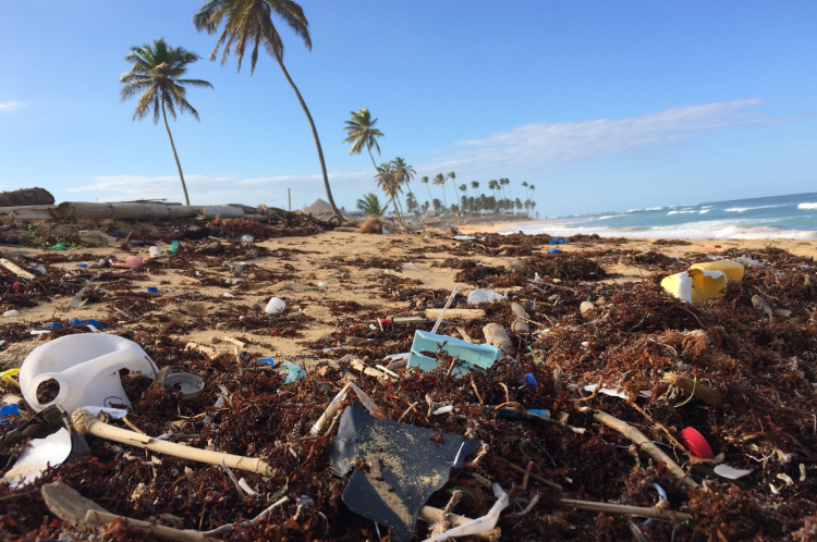 Marine Plastic Pollution: Opportunities for Sri Lanka - The Lakshman  Kadirgamar Institute
